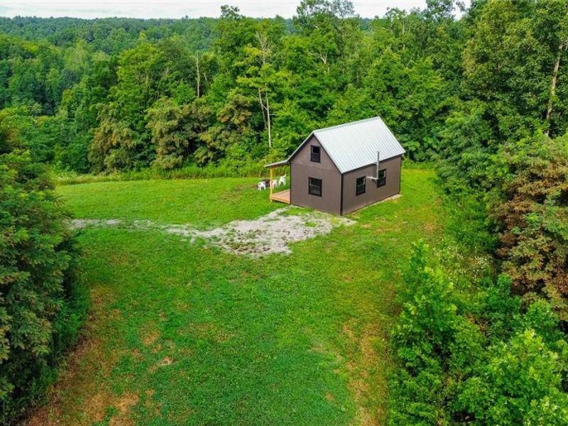 Ogles Ridge Road, Dexter City, OH 45727 Photo 4