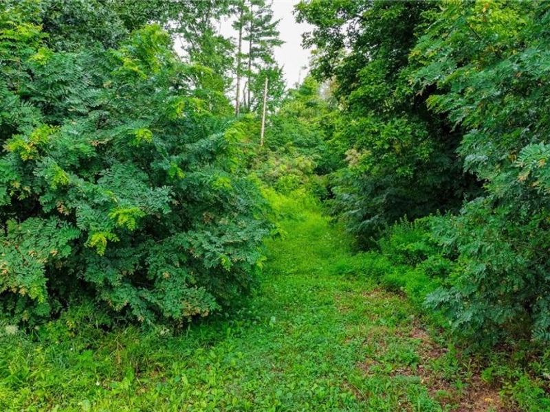 Ogles Ridge Road, Dexter City, OH 45727 Photo 40
