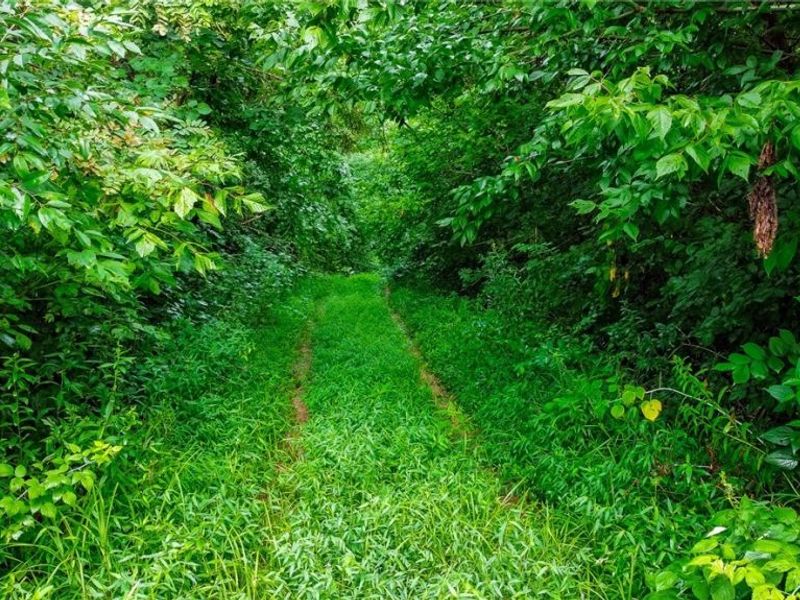 Ogles Ridge Road, Dexter City, OH 45727 Photo 41