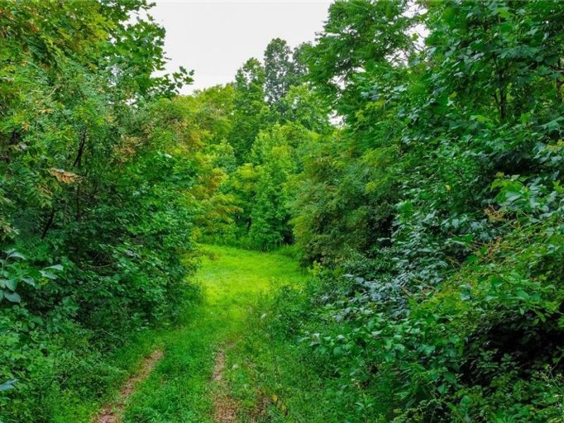 Ogles Ridge Road, Dexter City, OH 45727 Photo 42