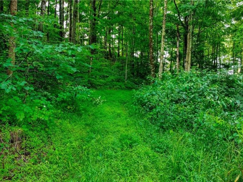 Ogles Ridge Road, Dexter City, OH 45727 Photo 43