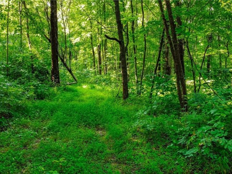Ogles Ridge Road, Dexter City, OH 45727 Photo 45