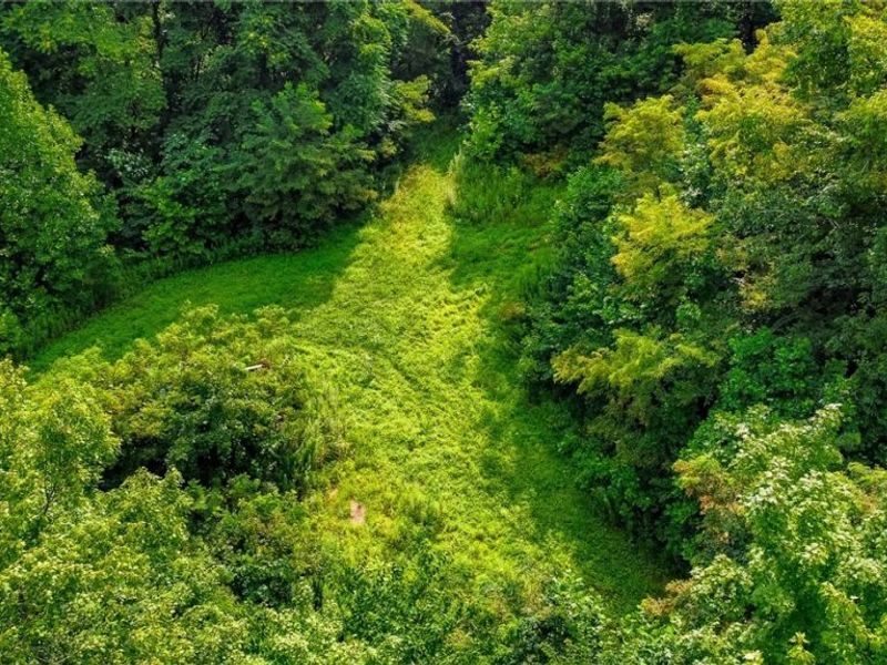 Ogles Ridge Road, Dexter City, OH 45727 Photo 46