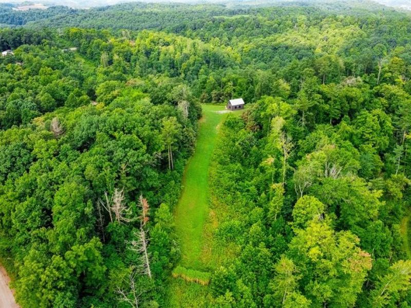 Ogles Ridge Road, Dexter City, OH 45727 Photo 6