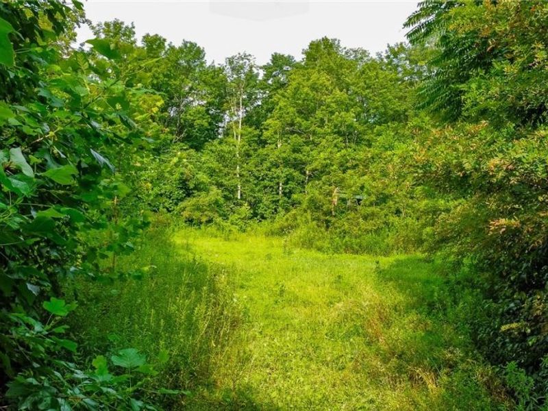 Ogles Ridge Road, Dexter City, OH 45727 Photo 8