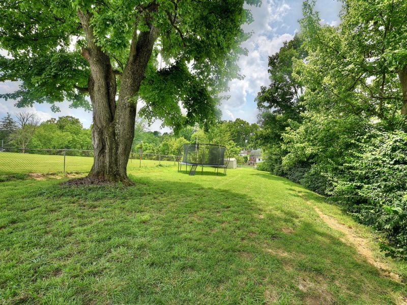 313 James Avenue Avenue, Erlanger, KY 41018 Photo 30