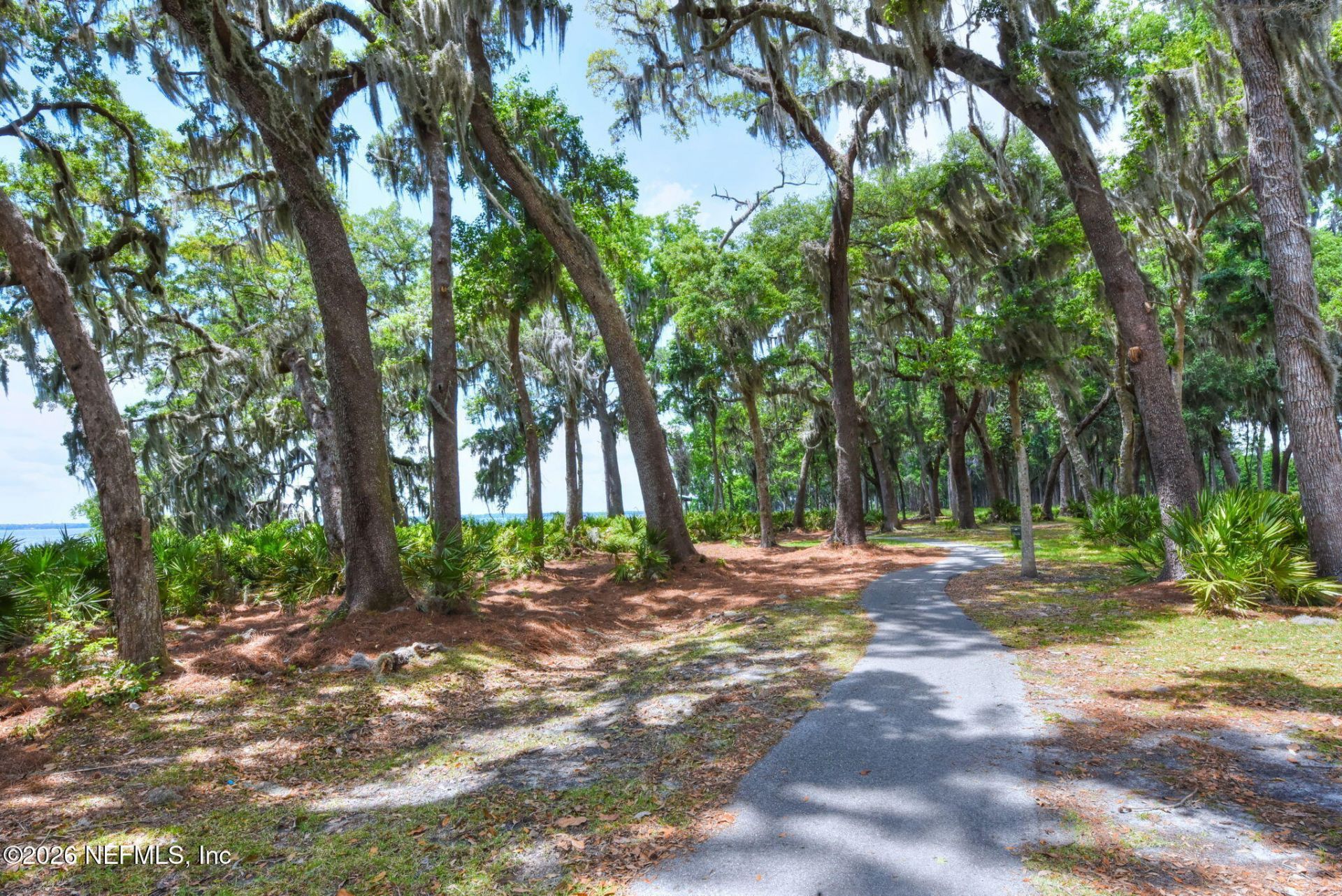 492 Shinnecock Drive, Saint Johns, FL 32259 Photo