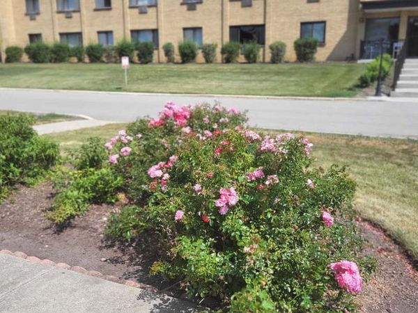 6670 S Brainard Avenue, Unit 404, Countryside, IL 60525