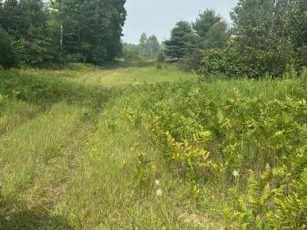 7893 S 220th Avenue, Reed City, MI 49677
