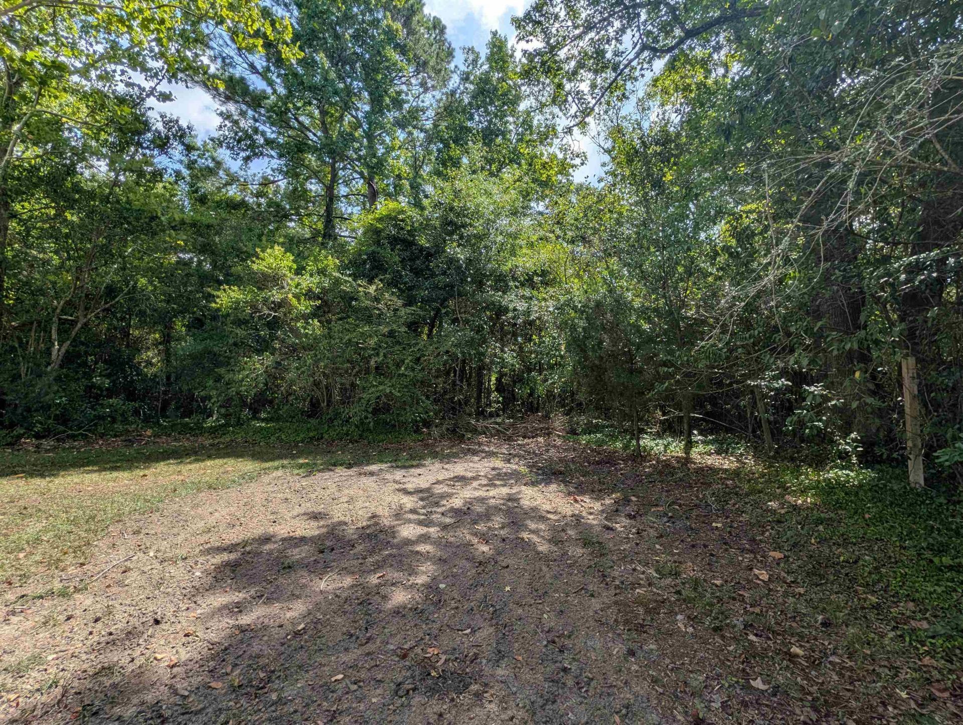 417 S Magnolia Ave. Photo 21