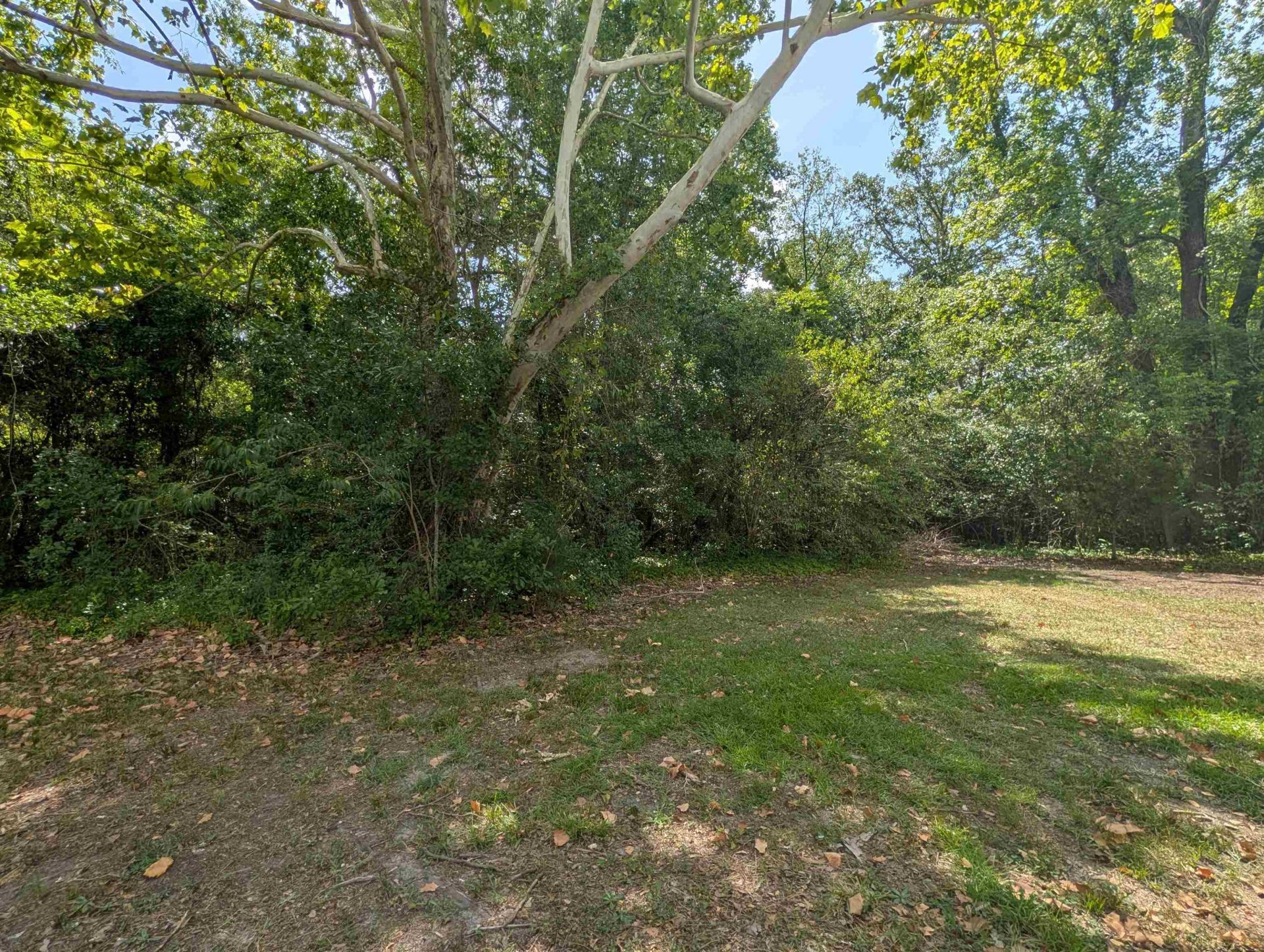 417 S Magnolia Ave. Photo 22