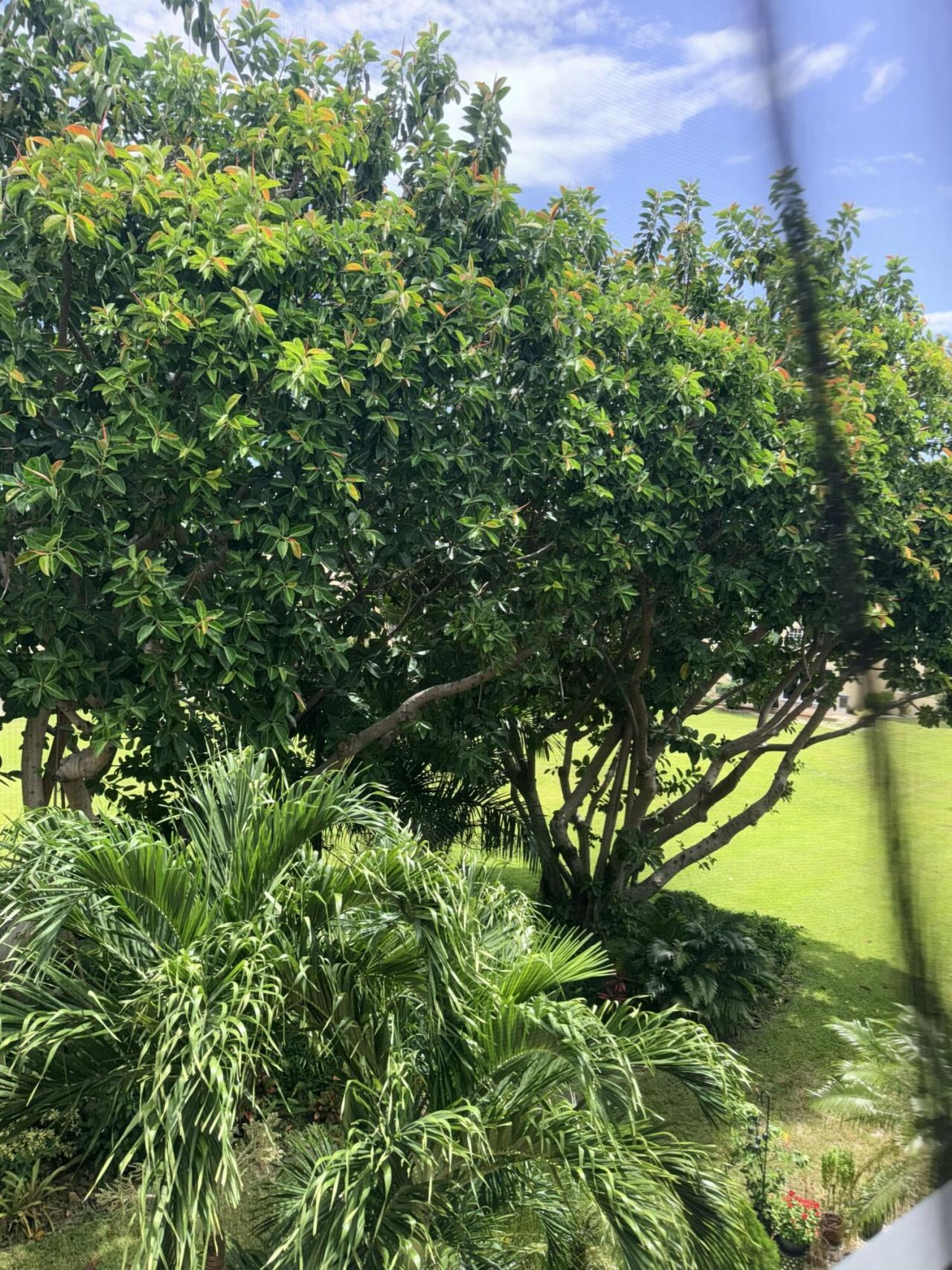 2601 NE 3rd Court, Unit 3030, Boynton Beach, FL 33435 Photo