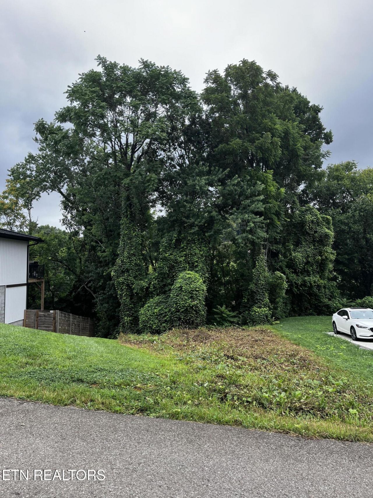 103 Henry Ave, Knoxville, TN 37920 Main Photo