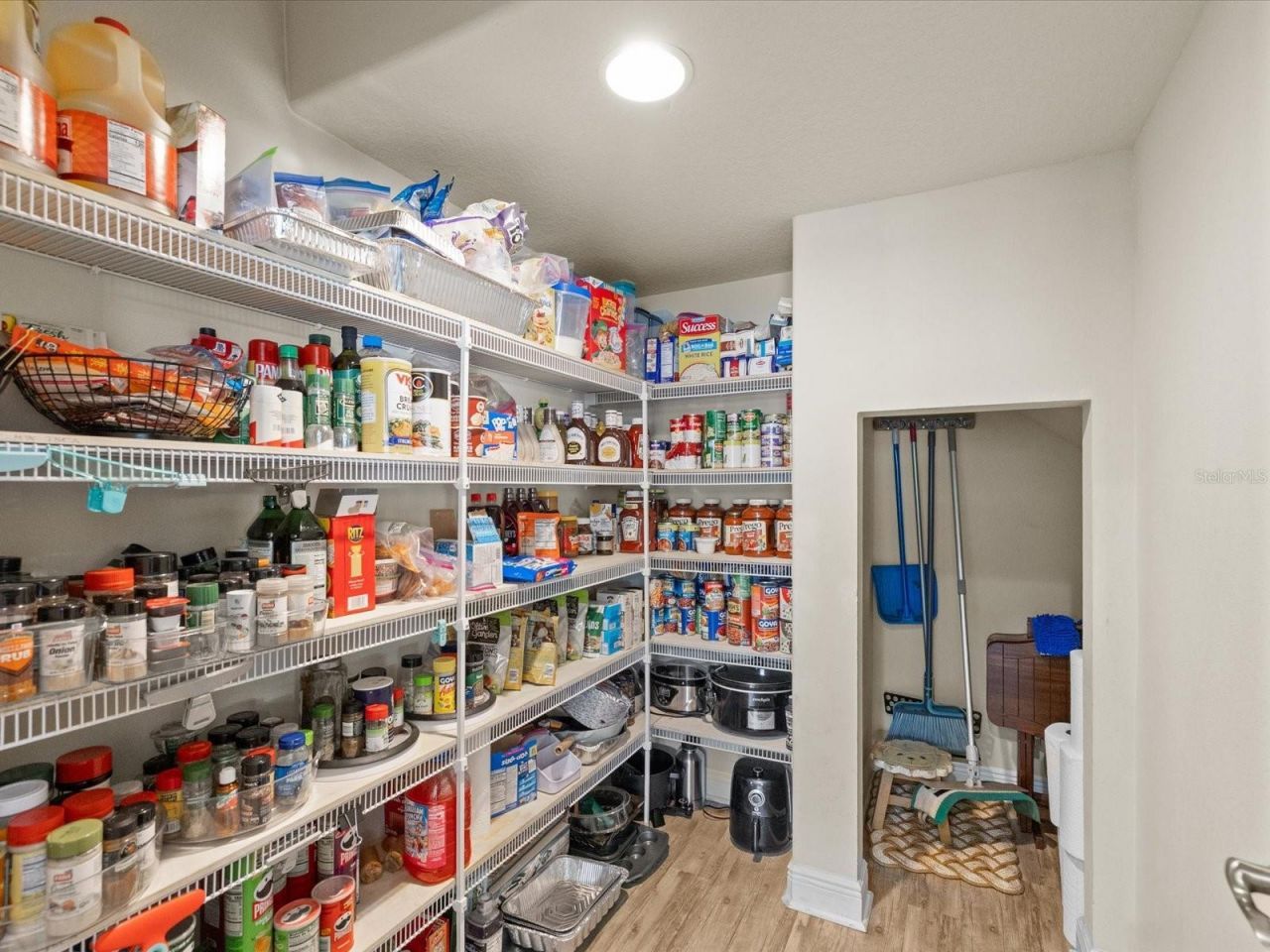 7117 Park Tree Drive, Tampa, FL 33625 Photo