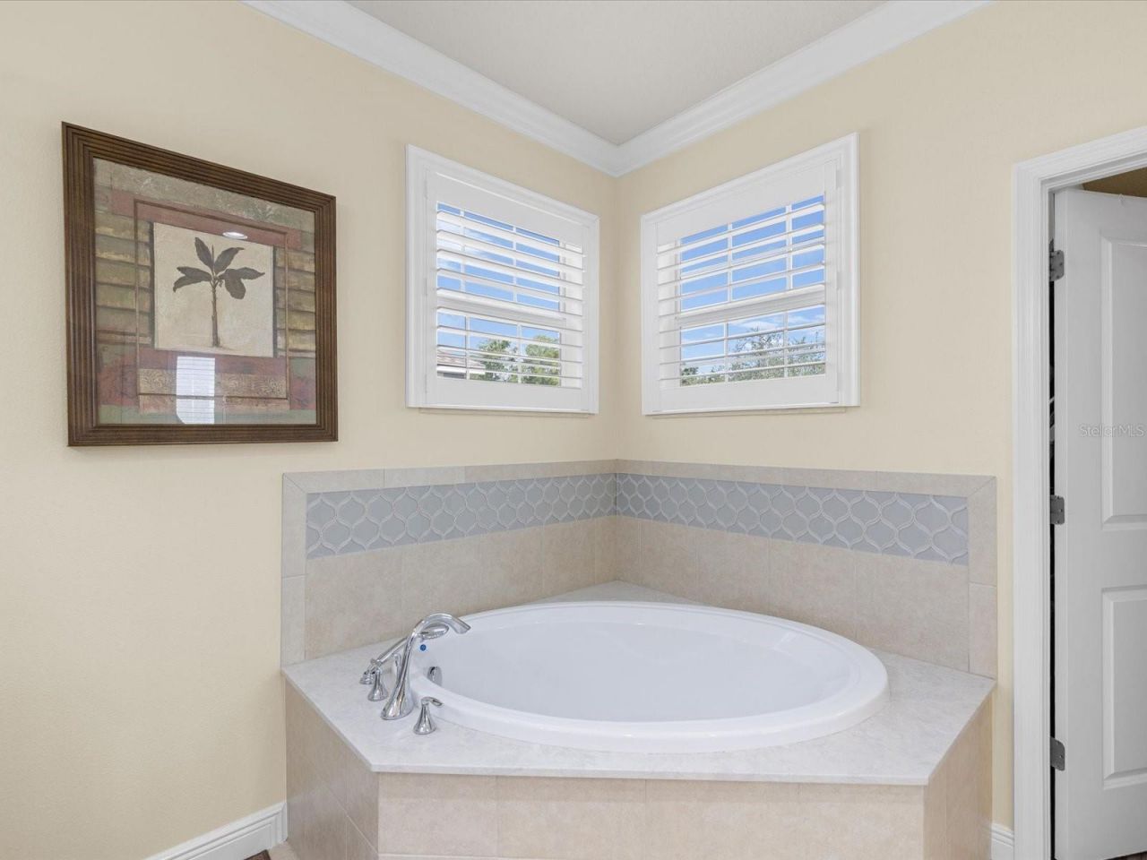 7117 Park Tree Drive, Tampa, FL 33625 Photo