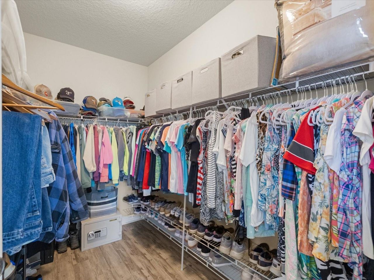 7117 Park Tree Drive, Tampa, FL 33625 Photo
