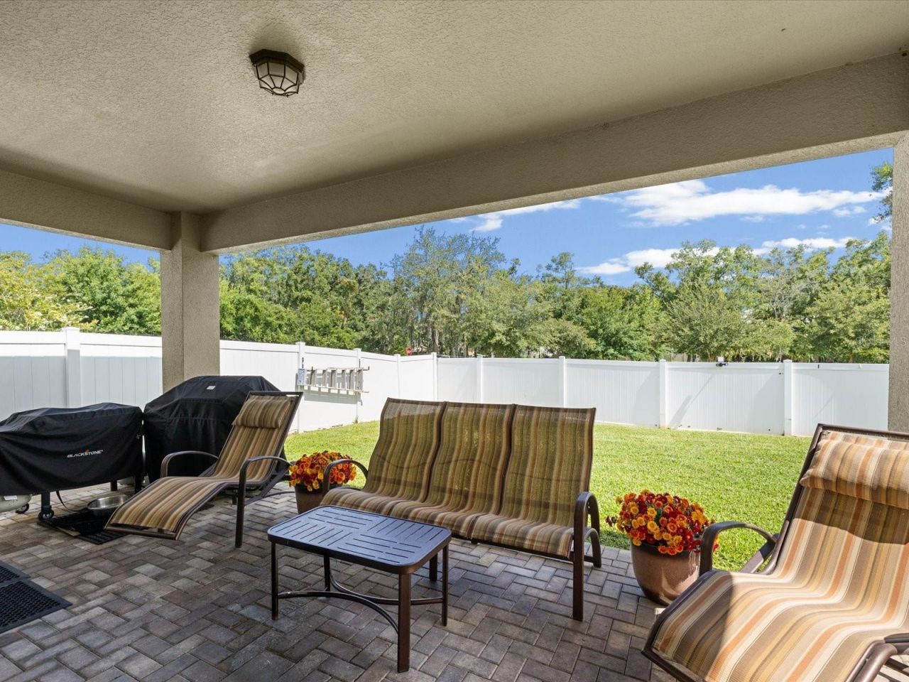 7117 Park Tree Drive, Tampa, FL 33625 Photo