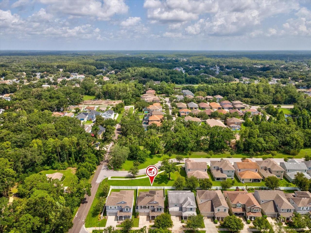 7117 Park Tree Drive, Tampa, FL 33625 Photo