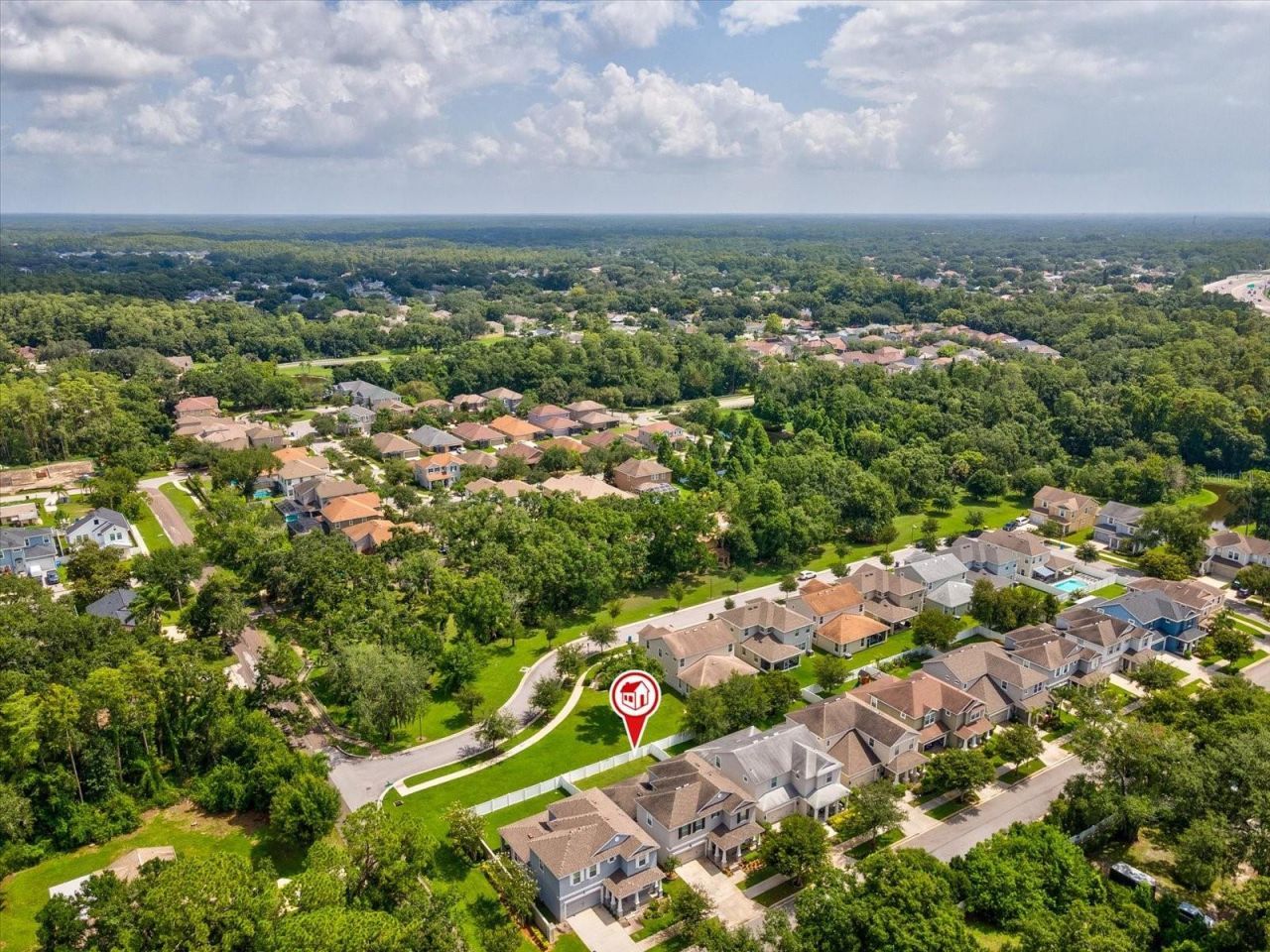7117 Park Tree Drive, Tampa, FL 33625 Photo