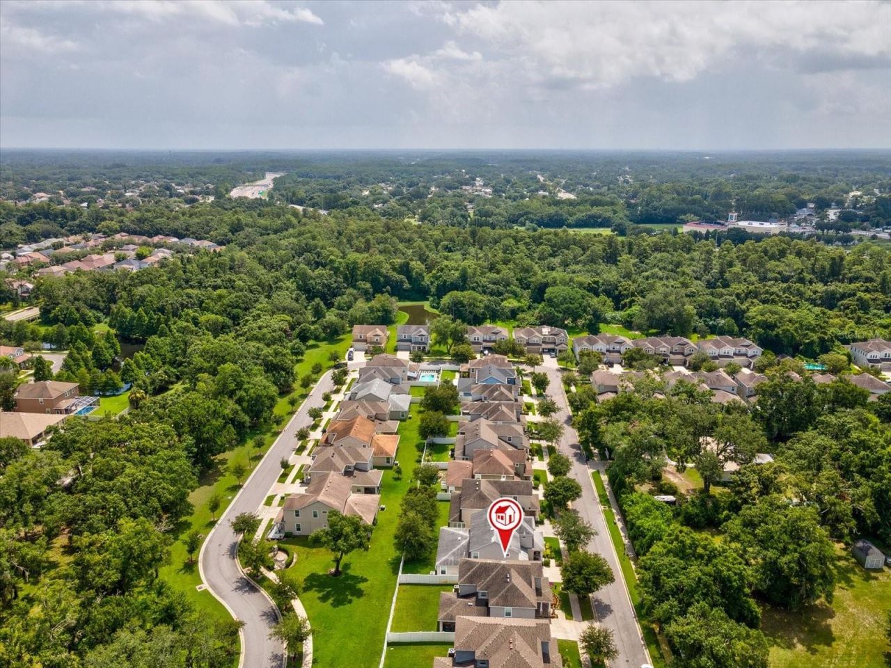 7117 Park Tree Drive, Tampa, FL 33625 Photo
