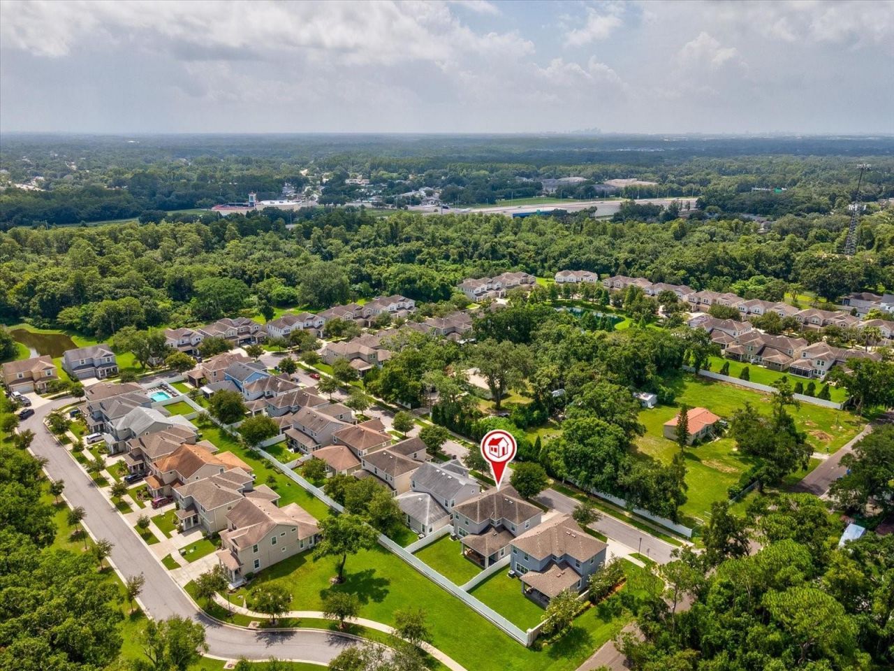 7117 Park Tree Drive, Tampa, FL 33625 Photo