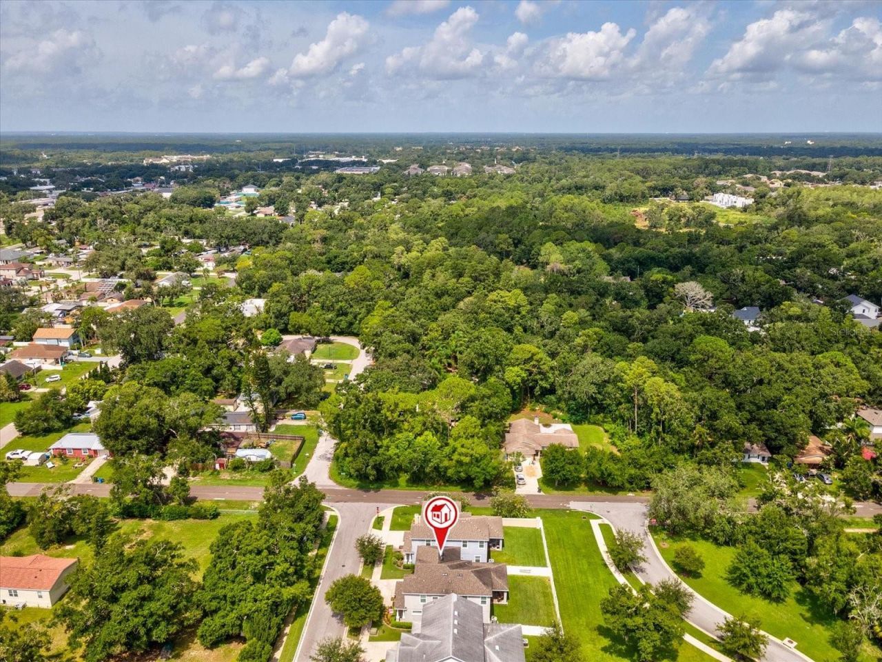 7117 Park Tree Drive, Tampa, FL 33625 Photo