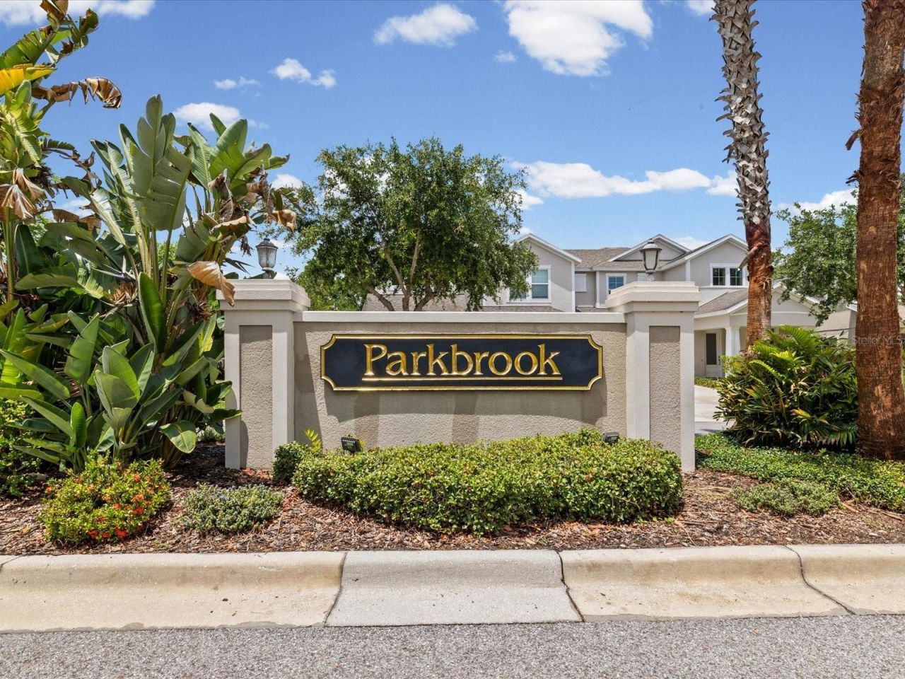 7117 Park Tree Drive, Tampa, FL 33625 Photo