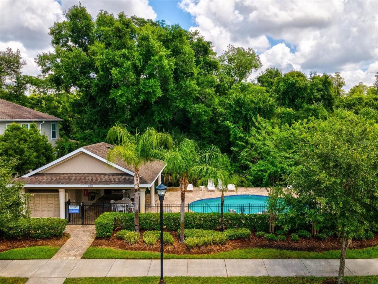 7117 Park Tree Drive, Tampa, FL 33625 Photo