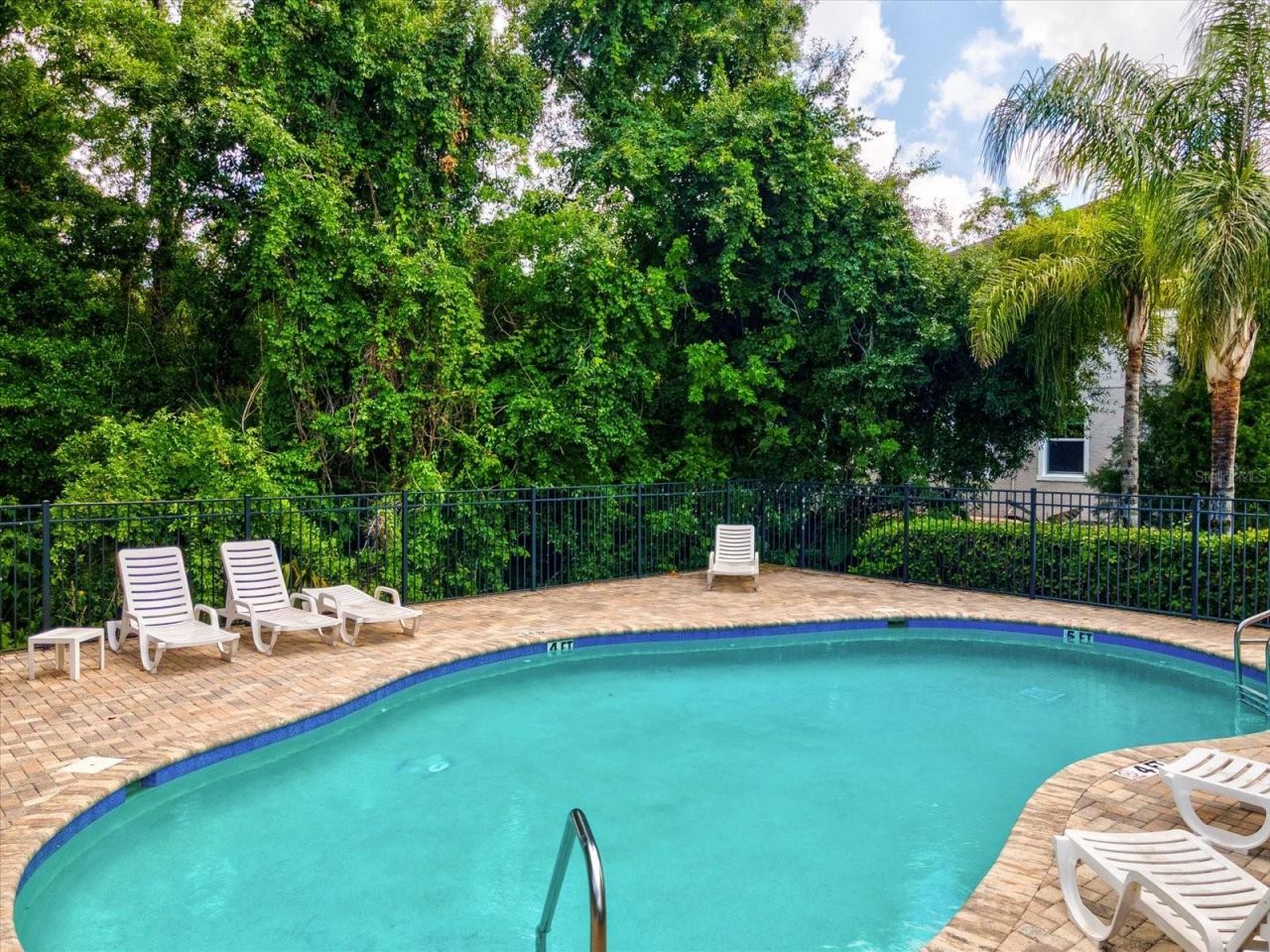 7117 Park Tree Drive, Tampa, FL 33625 Photo