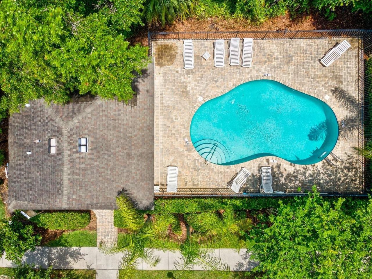 7117 Park Tree Drive, Tampa, FL 33625 Photo
