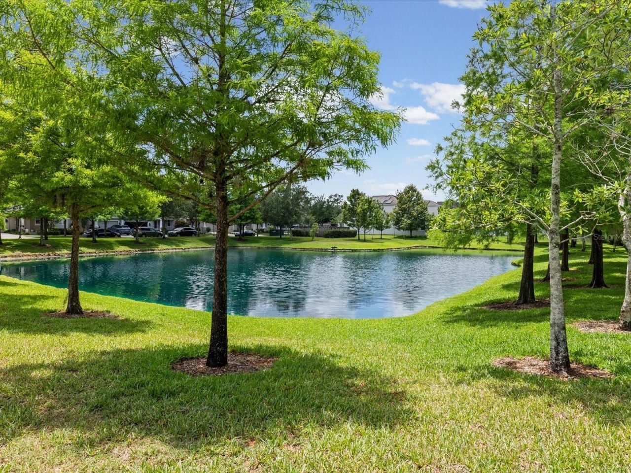 7117 Park Tree Drive, Tampa, FL 33625 Photo