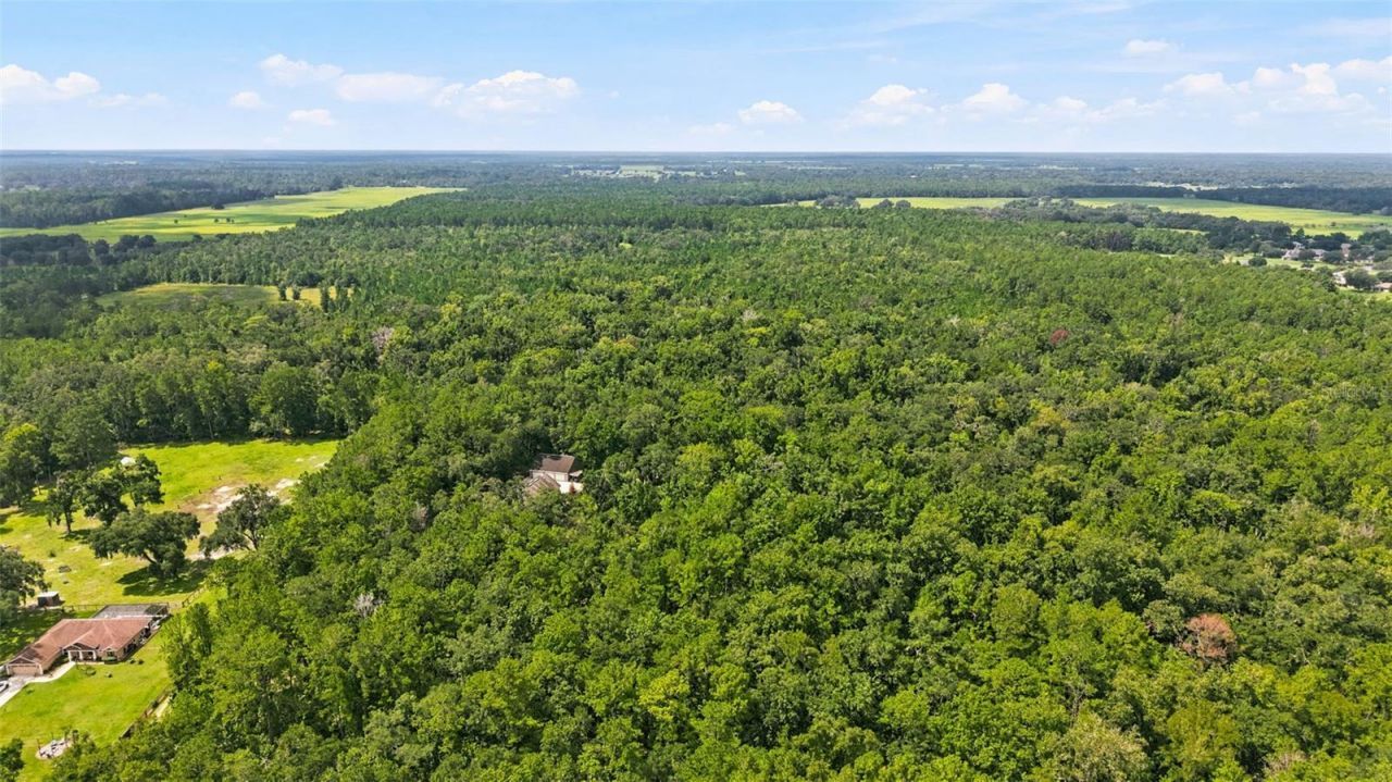 18308 Valor Path, Brooksville, FL 34604 Photo