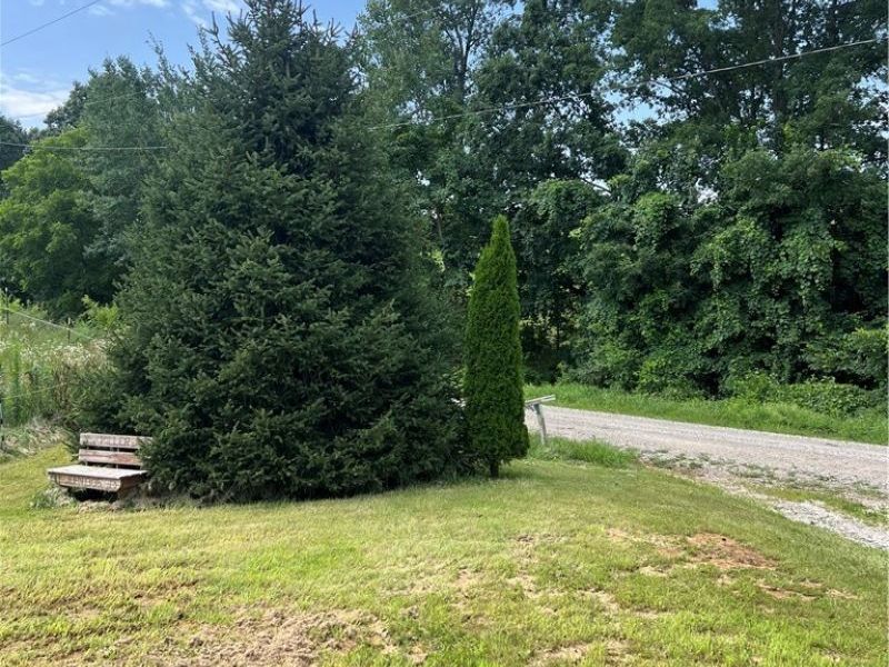 252 King Avenue, Cutler, OH 45724 Photo 7