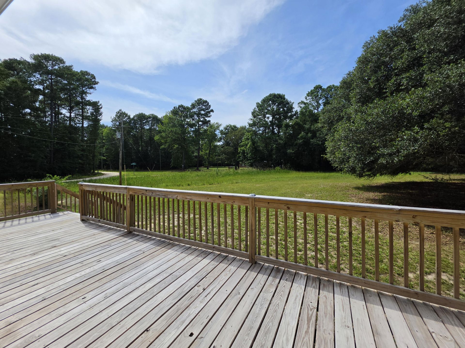 1124 Sallie Manigault Lane Photo 8