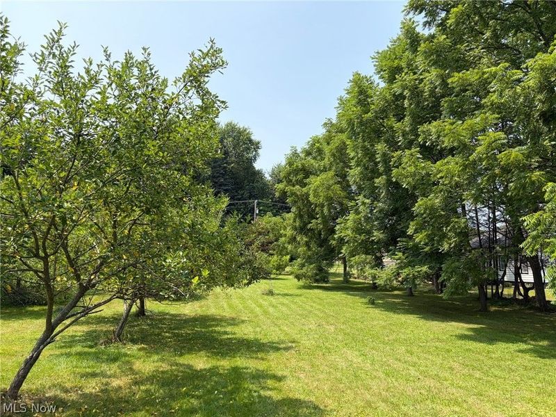 1760 Depot Road, Salem, OH 44460 Photo 12