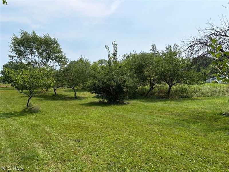 1760 Depot Road, Salem, OH 44460 Photo 6