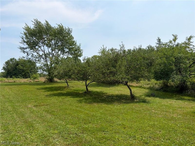 1760 Depot Road, Salem, OH 44460 Photo 7