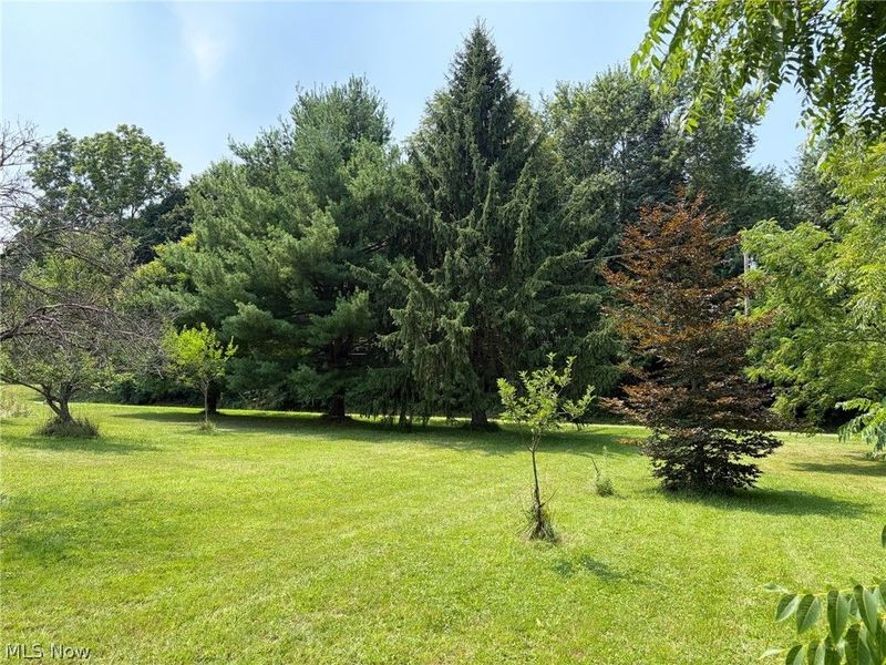 1760 Depot Road, Salem, OH 44460 Photo 8