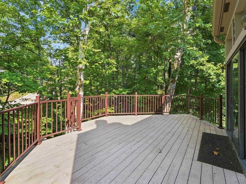 15 Falling Brook Lane, Blue Ash, OH 45241 Photo 46