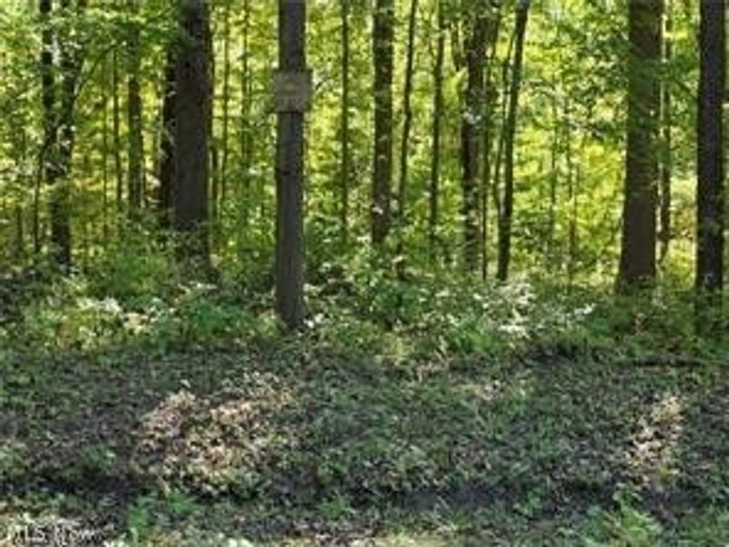 3648 Woodside, Geneva, OH 44041 Photo 11