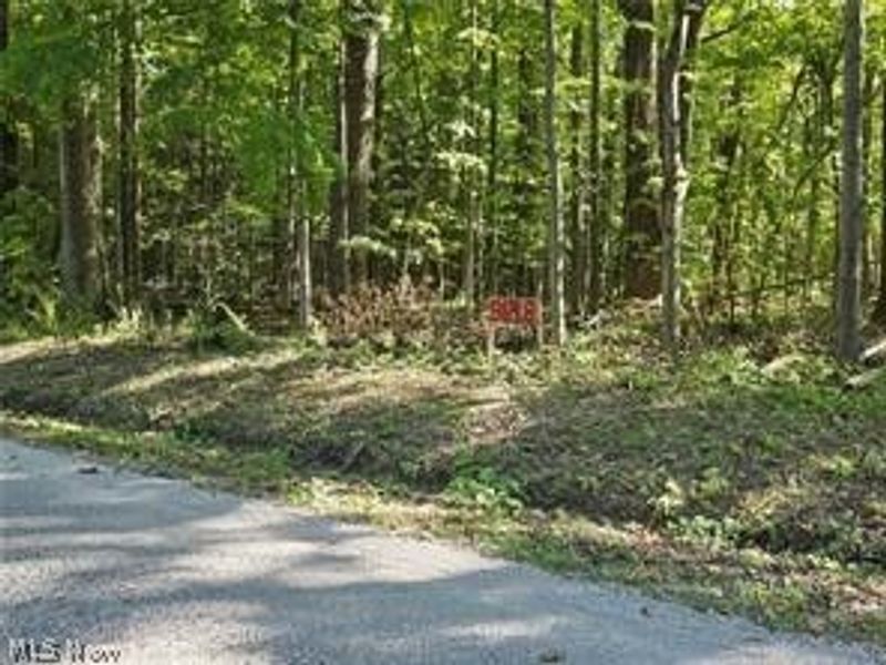 3648 Woodside, Geneva, OH 44041 Photo 13
