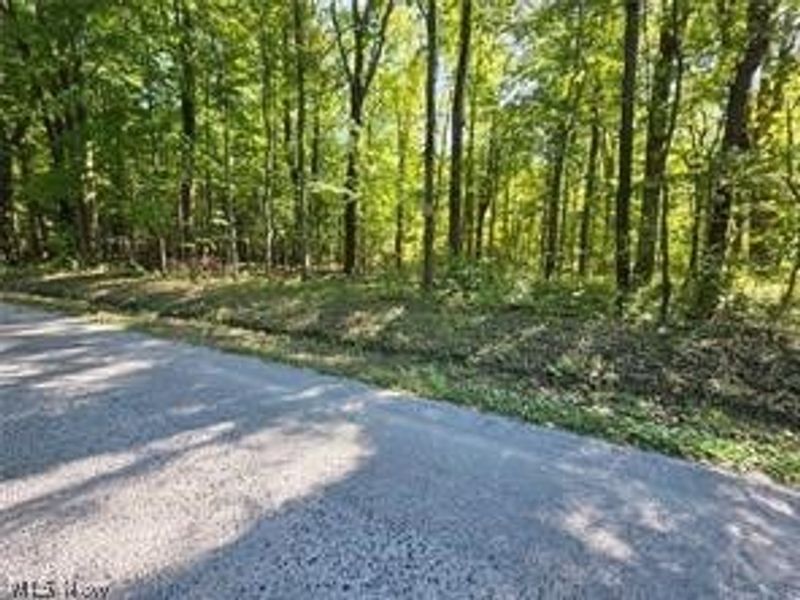 3648 Woodside, Geneva, OH 44041 Photo 14