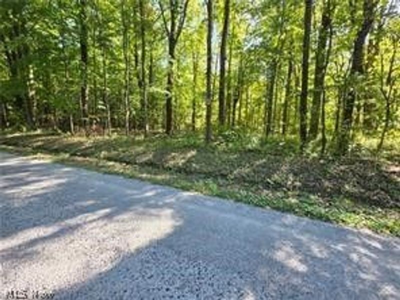 3648 Woodside, Geneva, OH 44041 Photo 15