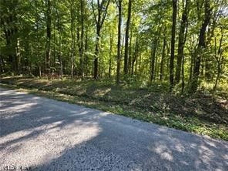 3648 Woodside, Geneva, OH 44041 Photo 16