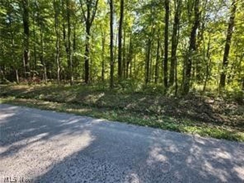 3648 Woodside, Geneva, OH 44041 Photo 17