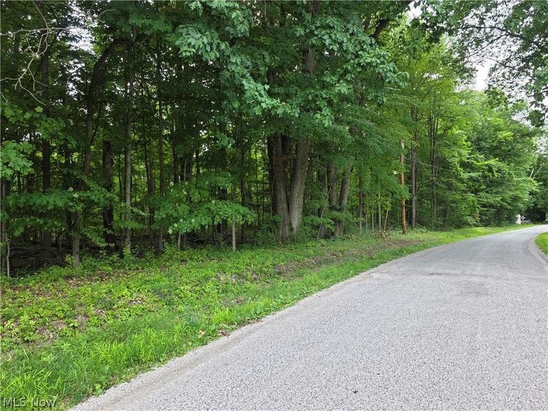 3648 Woodside, Geneva, OH 44041 Photo 2