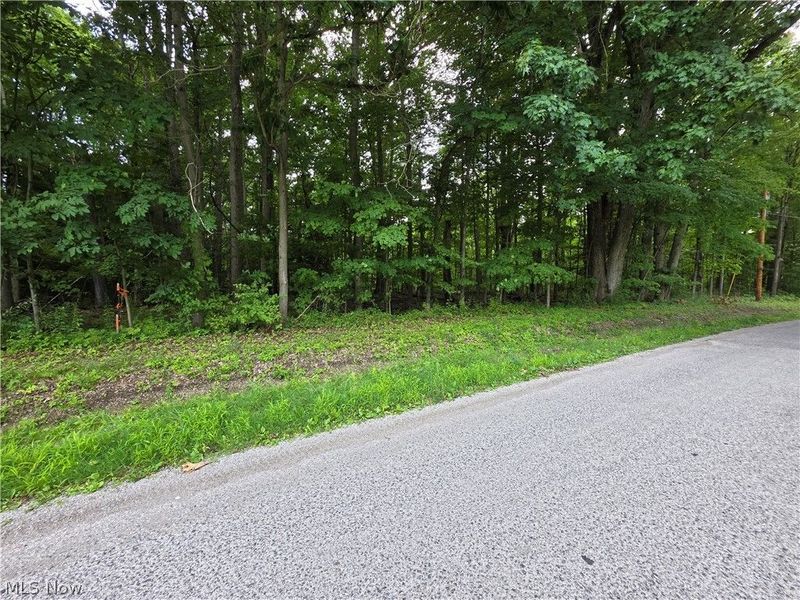 3648 Woodside, Geneva, OH 44041 Photo 3