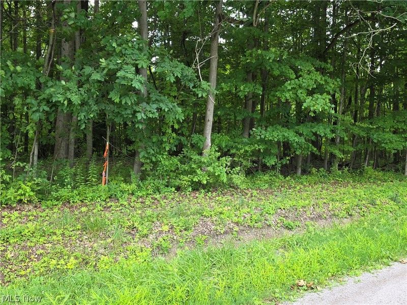 3648 Woodside, Geneva, OH 44041 Photo 5