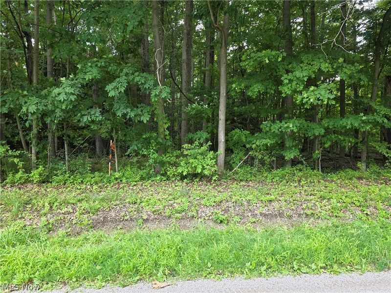 3648 Woodside, Geneva, OH 44041 Photo 6