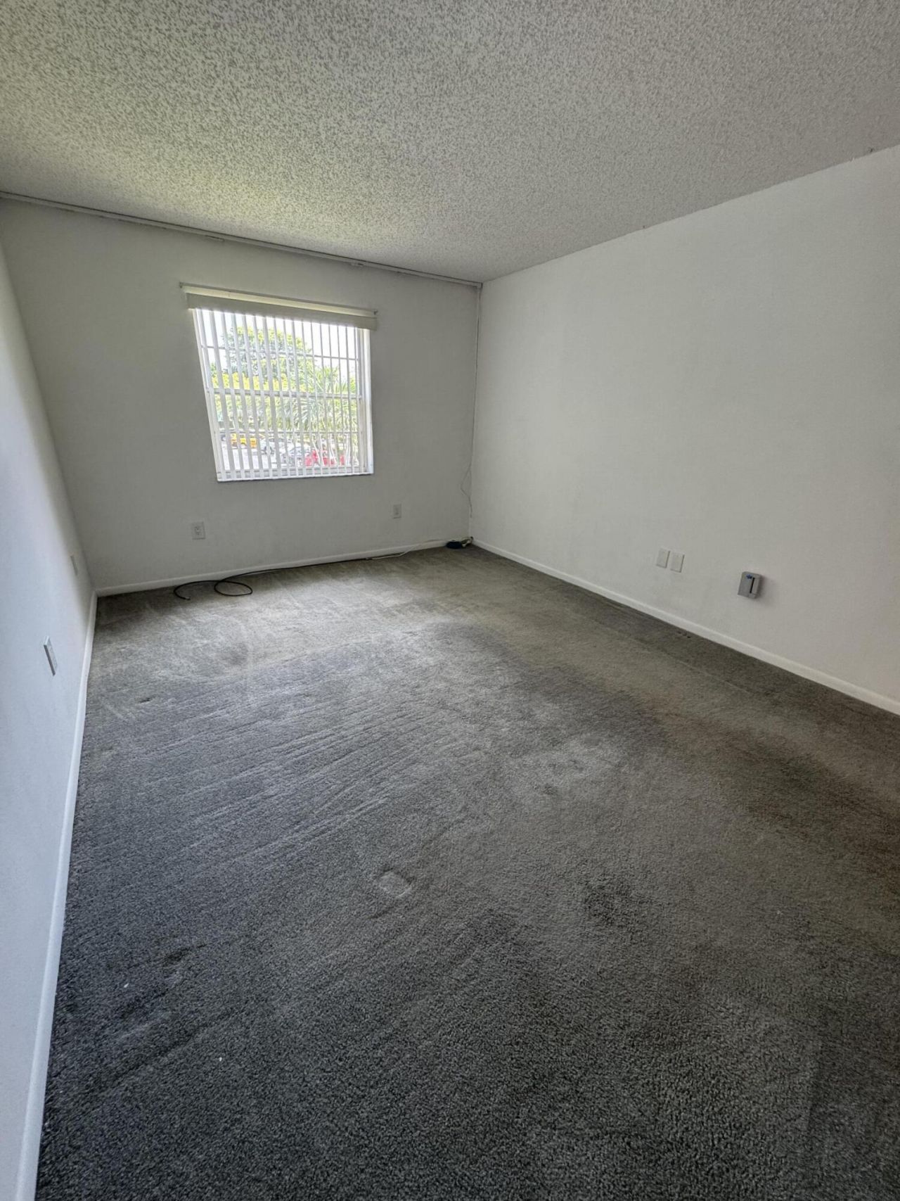 4990 E Sabal Palm Boulevard, Tamarac, FL 33319 Photo